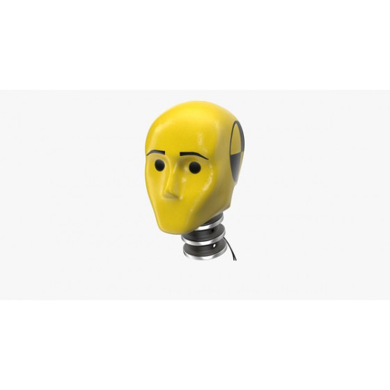 Dummy-Product
